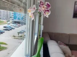 Apartman Andrea