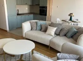 Plava Zvezda Centar Free Garage