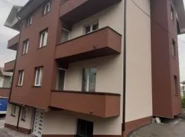 Apartmani Milina