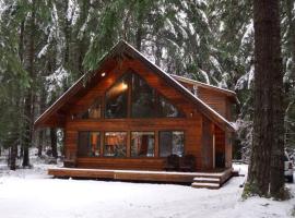 Chalet-style cabin near Mt. Rainier and Crystal、イーナムクローのコテージ