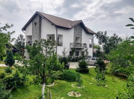 Pensiunea Codruta, obiteljski hotel u gradu 'Cărpinişu'