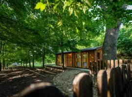 Tiny House - Gilda e i suoi amici