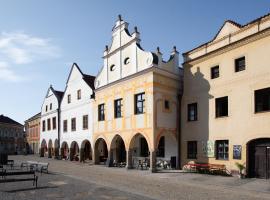 Hotel Pivoňka, hotel v destinaci Slavonice