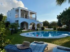 Villa Sofia with garden, pool and lounge areas