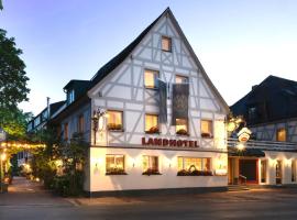 Landhotel 3Kronen, hotel en Adelsdorf