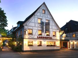 Landhotel 3Kronen, hotel con estacionamiento en Adelsdorf