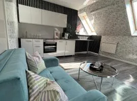 Cozy room with kitchen near the lake