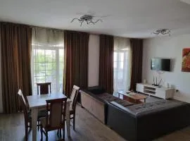 Magic Apartments 1