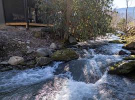 Ivy's Cottage, Pickleball Court, Creek, WIFI, Mountain Views, Starting at 50", hotel a Cosby