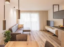Apartments Silva Summit