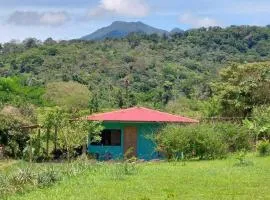 Casita Los Guarumos (Finca Las Colinas)