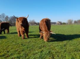 Hannekenbuurs kleine Kune Kune Farm、ヴェーツェのホテル