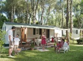 Modern Chalet w Pool Views