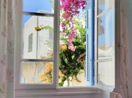 Tinos Bougainvillea