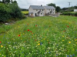 Family Country Cottage with Stunning Mountain Views, hotel amb aparcament a Myddfai