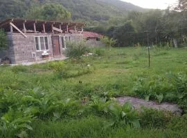 ქირავდება ონის რაიონში სოფელ ზუდალში კერძო სახლი დამსვენებლებზე