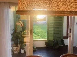 DORALICE by a Paddy Field