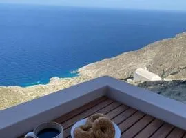Cactus villa