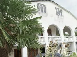 Guest white house with Terrace