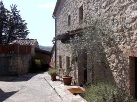 B&B Borgolecchi , Lecchi in Chianti