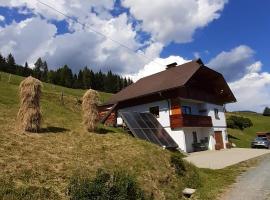 Ferienwohnung Stampfer, apartement sihtkohas Gnesau