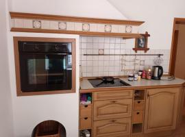 5-Zimmer-Wohnung für Monteure in Leisnig, apartment in Leisnig