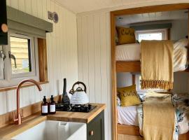 Cwtch Cader Shepherds Hut, campsite sa Llanelltyd