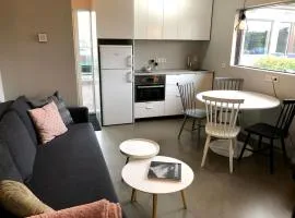 Adorable one bedroom apartment with free parking.