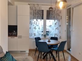 Apartman Boomerang Banja Luka، فندق في Hiseti