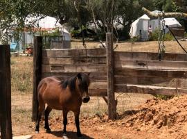 Forest Domes, campismo de luxo em Setúbal