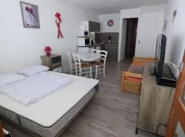 Studio 4 pers pied des pistes