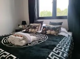 Modern Rancho - apartamenty nad rzeką, przy stadninie koni