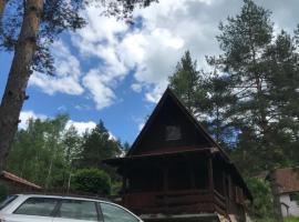 Villa Zelen bor, hytte i Drijetanj