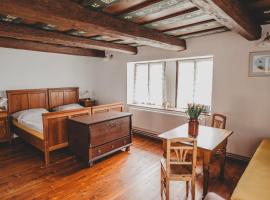 Boutique Apartmán Speicher, hotel v Praze