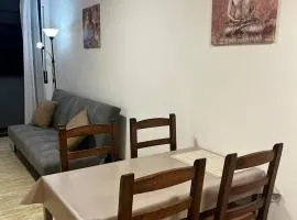 Central Apartment