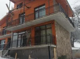 Luxury Villa in the heart of Bakuriani