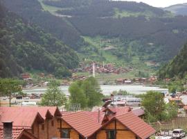 My Home Uzungöl, hotel near Uzungol Plateau & Lake, Uzungol