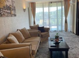 Apartament executive vedere munte Alpin Resort Poiana Brasov，波亞納布拉索夫的溫泉住宿