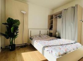 Centre ville Nogent Sur Marne, appartement standing, alquiler temporario en Nogent-sur-Marne