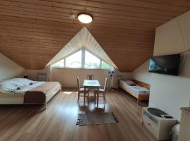 Widok apartamenty domki pokoje 725 -258 -751, готель у Полянчику