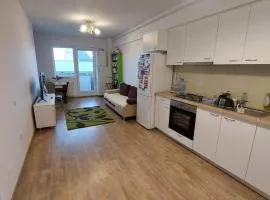 Iris Cluj apartament