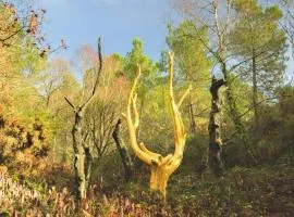 L'arbre dort studio indépendant