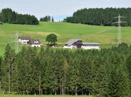 Dürrenbartleshof, hotel v destinaci Breitnau