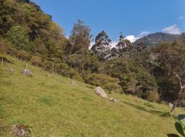 Hostel Cutucumay: Ibagué'de bir otel