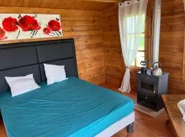 Le domaine des oiseaux