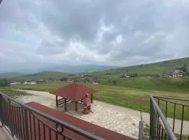 Oaza mira