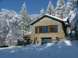 Chalet familial spacieux avec sauna au cœur du Bessat - FR-1-496-24