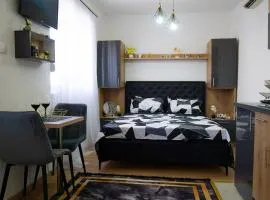Luxury Apartment Milićević 2