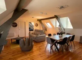 Appartement T3 en plein cœur du centre-ville