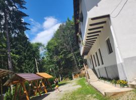 Cabana Valea Bradului, hotel v mestu Nucşoara